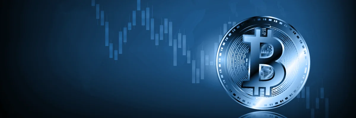 crypto bull run prediction